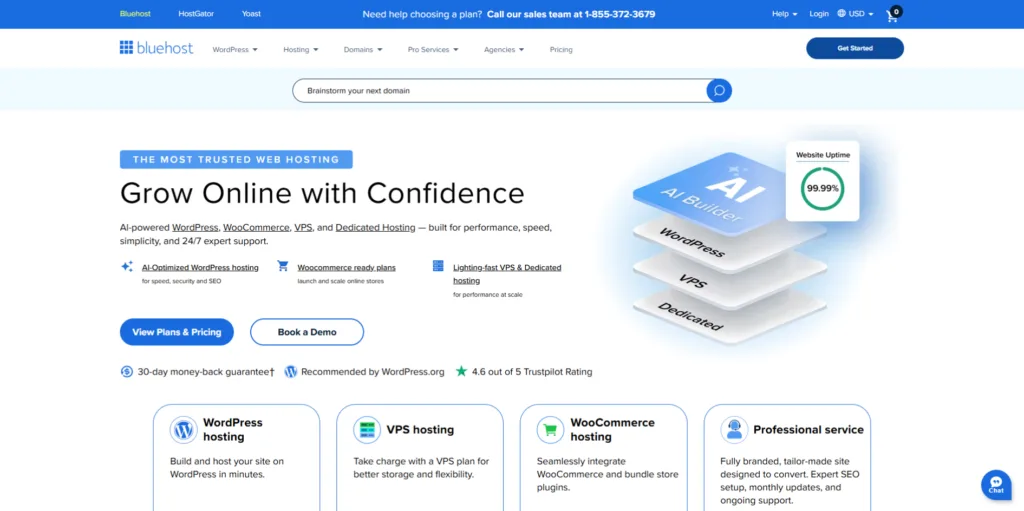 bluehost